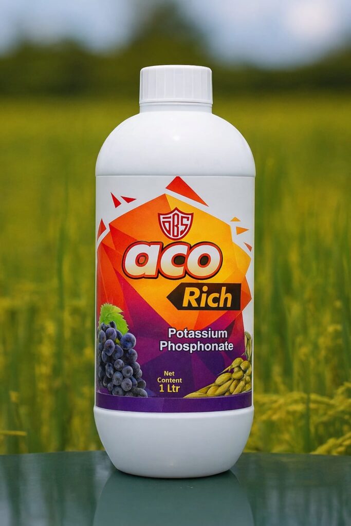 Aco Rich